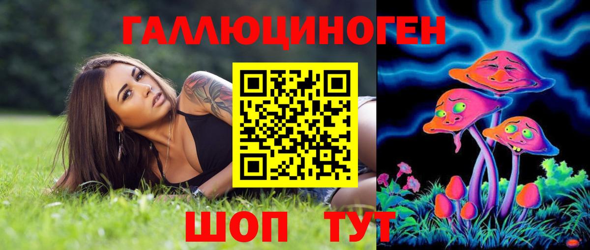 где найти   Псилоцибиновые грибы MAGIC MUSHROOMS  Ревда  Вход с VPN  Галлюциногенные грибы ЛСД 