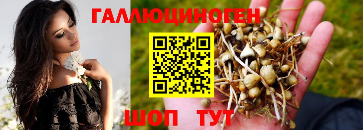 Галлюциногенные грибы Magic Shrooms Ревда